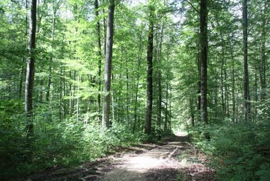 bei der Lochmühle - Eigeltingen