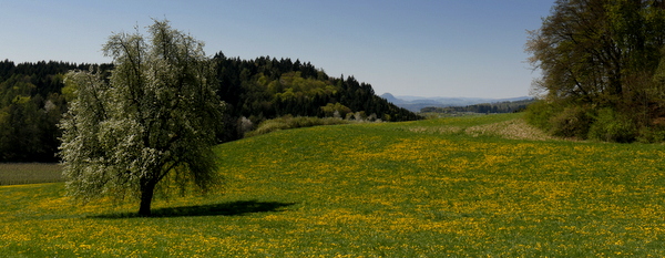 oberhalb von Güttingen